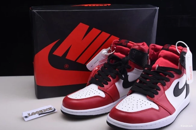 CD0461- 858 Snake Satin 1 Jordan WellDesigned WMNS OG High Air 0601